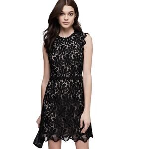 REISS Sami Open-Back Lace Dress    Black   Size 6